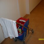 Digital Camera P42001